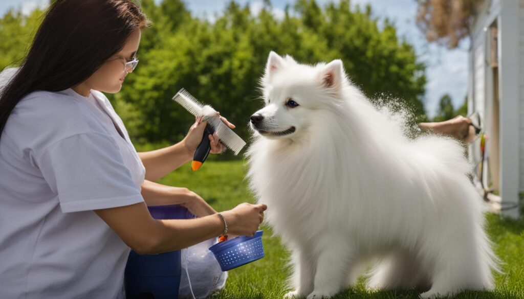 American Eskimo Dog grooming